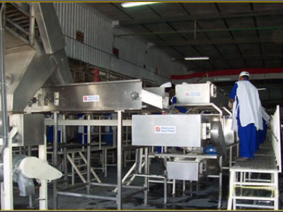 Mango pulps Processing Line